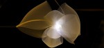 Mook_lights_530