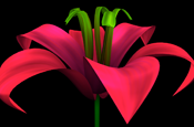 helloflower_330