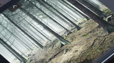 iPhone_fwa_daily_01-1