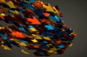 Reebok Cursor Flock 2