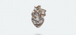 robert_heart_330_01