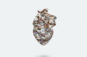 robert_heart_330_01